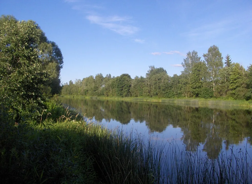 Aiviekste — Dainis / Wikimedia Commons / Public domain
