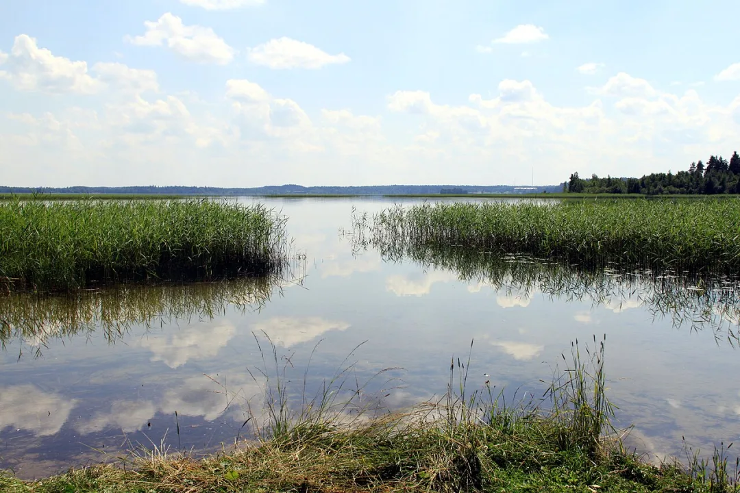 Alūksnes ezers — Sirujs Enobs / Wikimedia Commons / CC BY-SA 3.0
