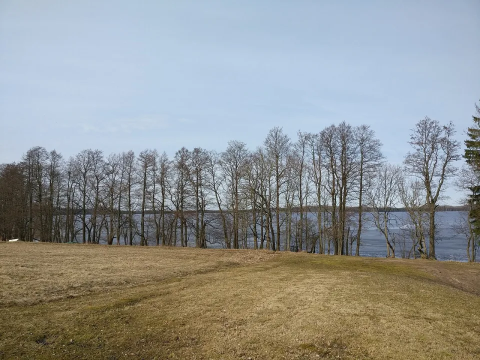 Augstrozes Lielezers — Voll / Wikimedia Commons / CC BY-SA 4.0
