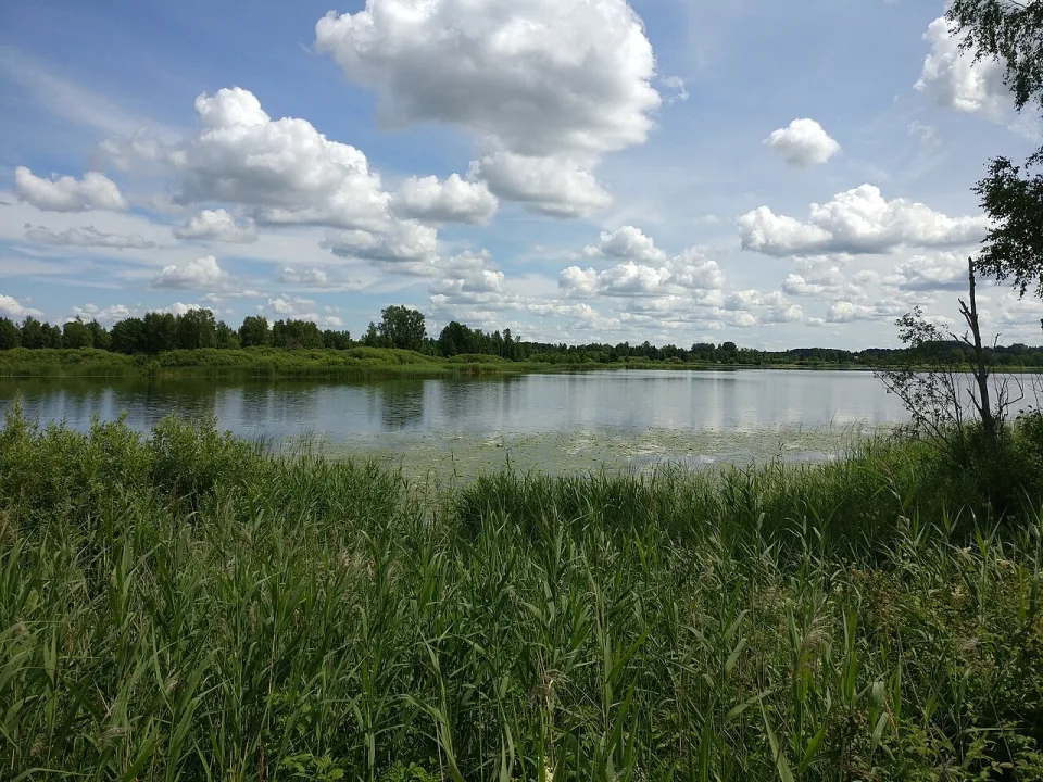 Auziņu ezers — Voll / Wikimedia Commons / CC BY-SA 4.0