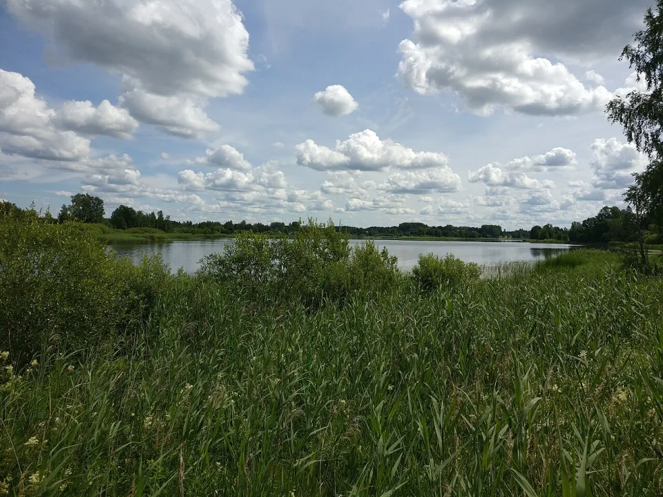 Auziņu ezers — Voll / Wikimedia Commons / CC BY-SA 4.0