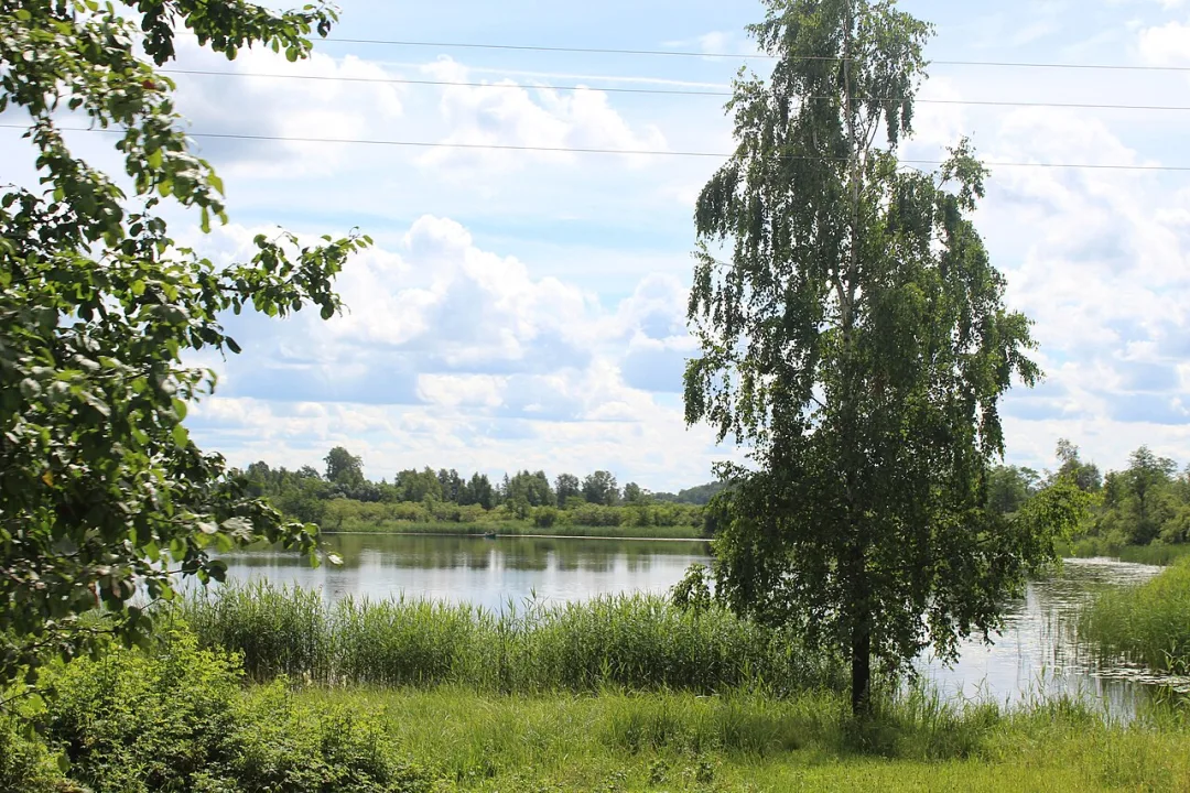 Auziņu ezers — Egilus / Wikimedia Commons / CC BY-SA 4.0