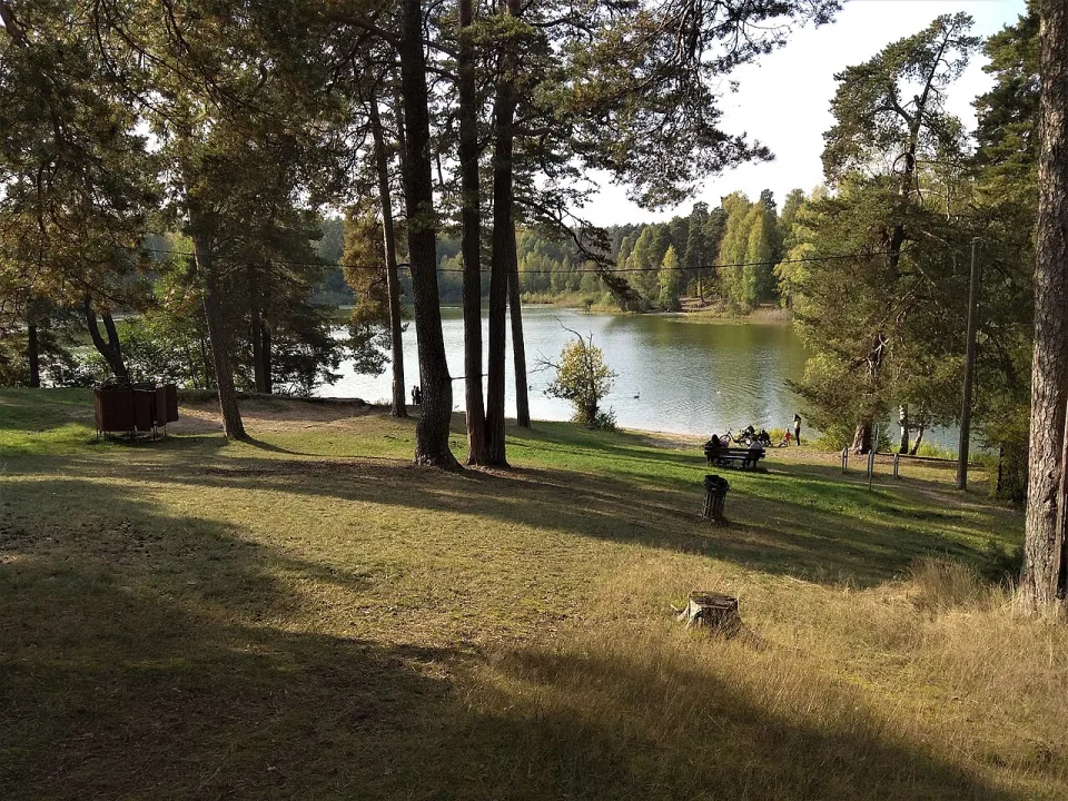 Bābelītis — Egilus / Wikimedia Commons / CC BY-SA 4.0