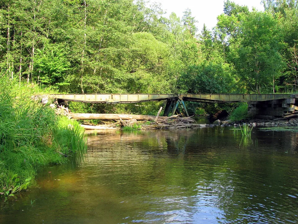 Bērze — Ivars Indāns / Wikimedia Commons / CC BY-SA 3.0