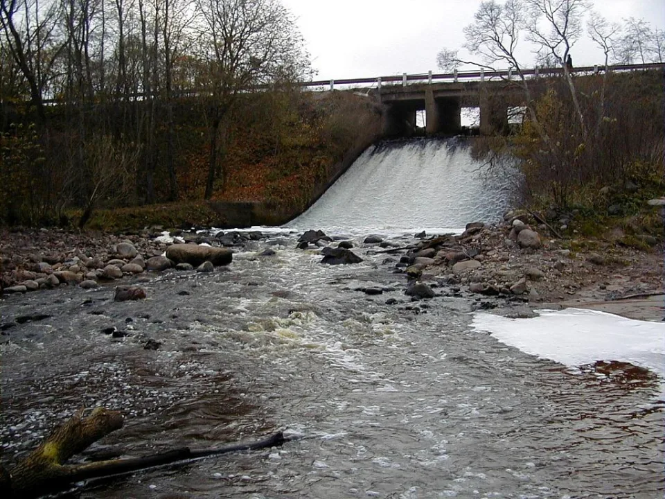 Bērze — J. Sedols / Wikimedia Commons / CC BY 3.0