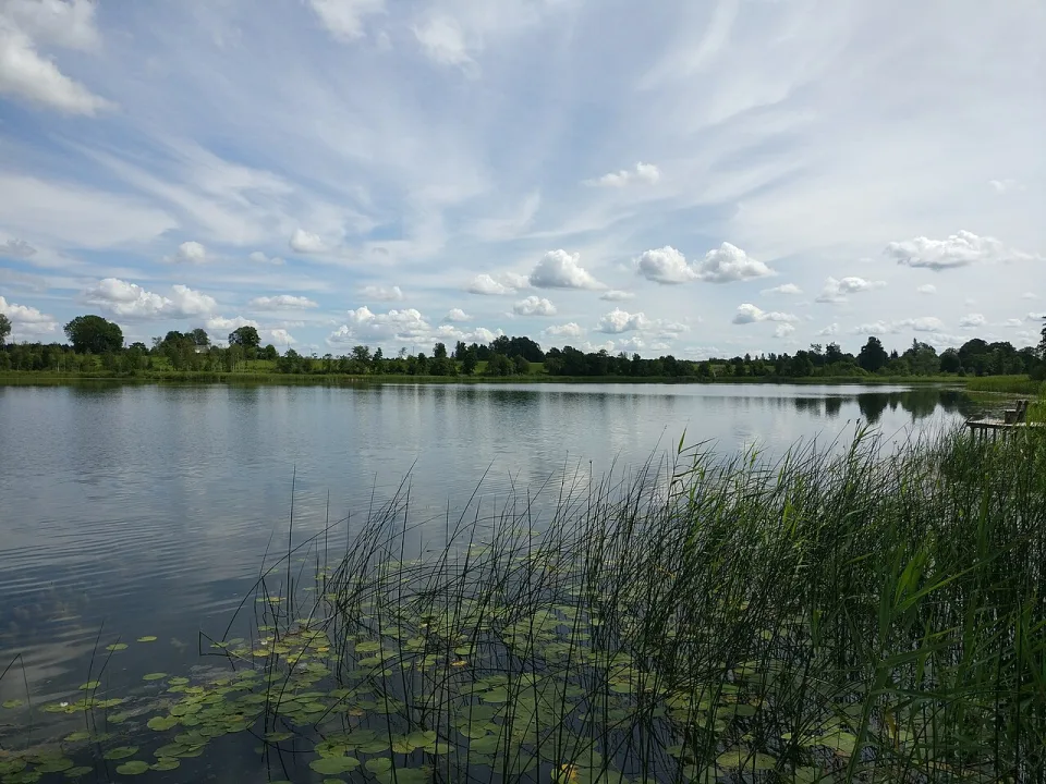 Bruņķītis — Voll / Wikimedia Commons / CC BY-SA 4.0
