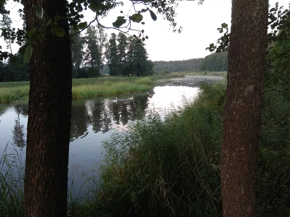 Dūņezers — Egilus / Wikimedia Commons / CC BY-SA 4.0
