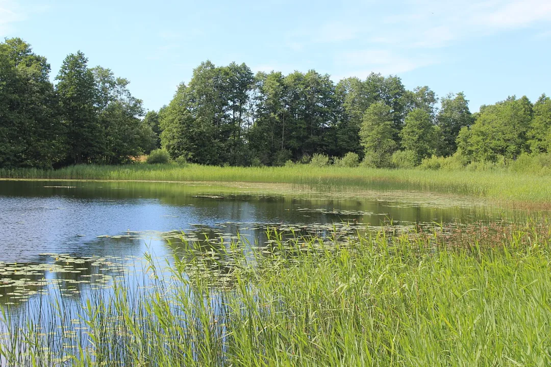 Dziļezers — Egilus / Wikimedia Commons / CC BY-SA 4.0