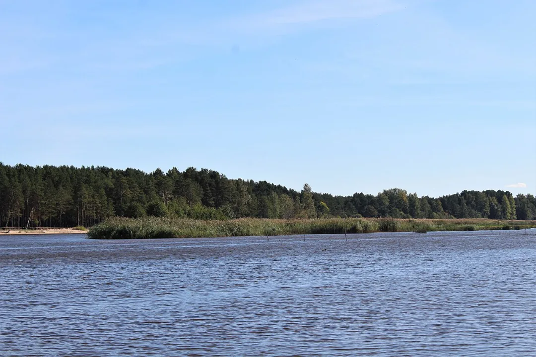 Gauja — Egilus / Wikimedia Commons / CC BY-SA 4.0