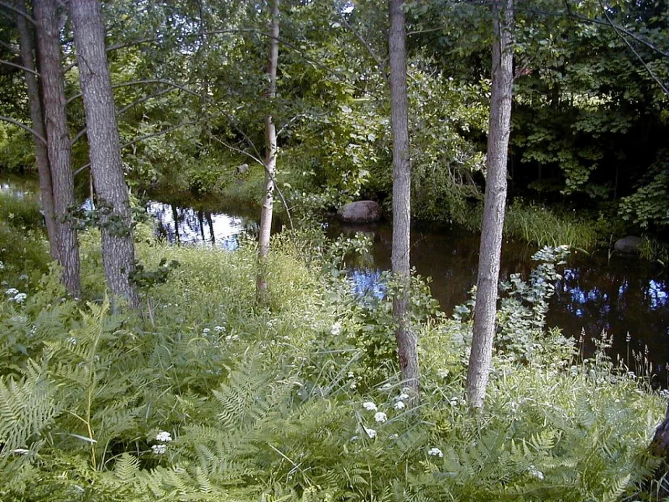 Grīva — J. Sedols / Wikimedia Commons / CC BY 3.0