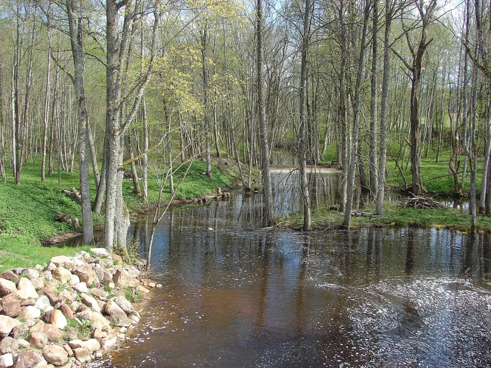 Grīva — M.Strīķis / Wikimedia Commons / CC BY-SA 3.0