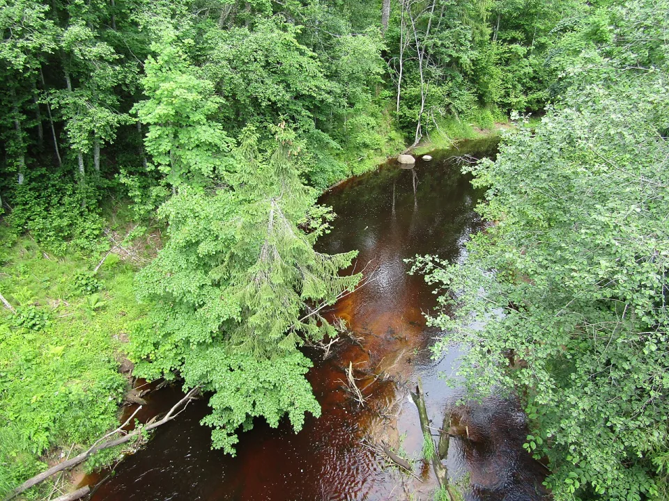 Īģe — Gunita Kolle / Wikimedia Commons / CC BY-SA 4.0