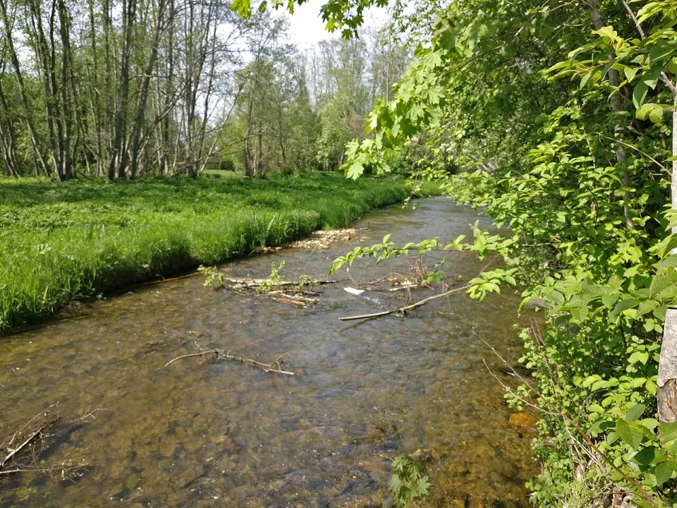 Imula — Voll / Wikimedia Commons / CC BY-SA 4.0