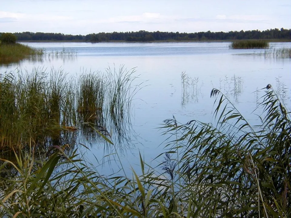 Kaņieris — Kikos at Latvian Wikipedia / Wikimedia Commons / CC BY-SA 3.0