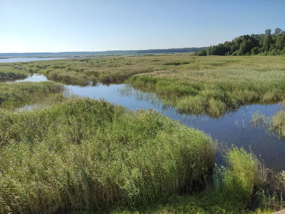 Kaņieris — Fry72, Karel Frydrýšek / Wikimedia Commons / CC BY-SA 4.0