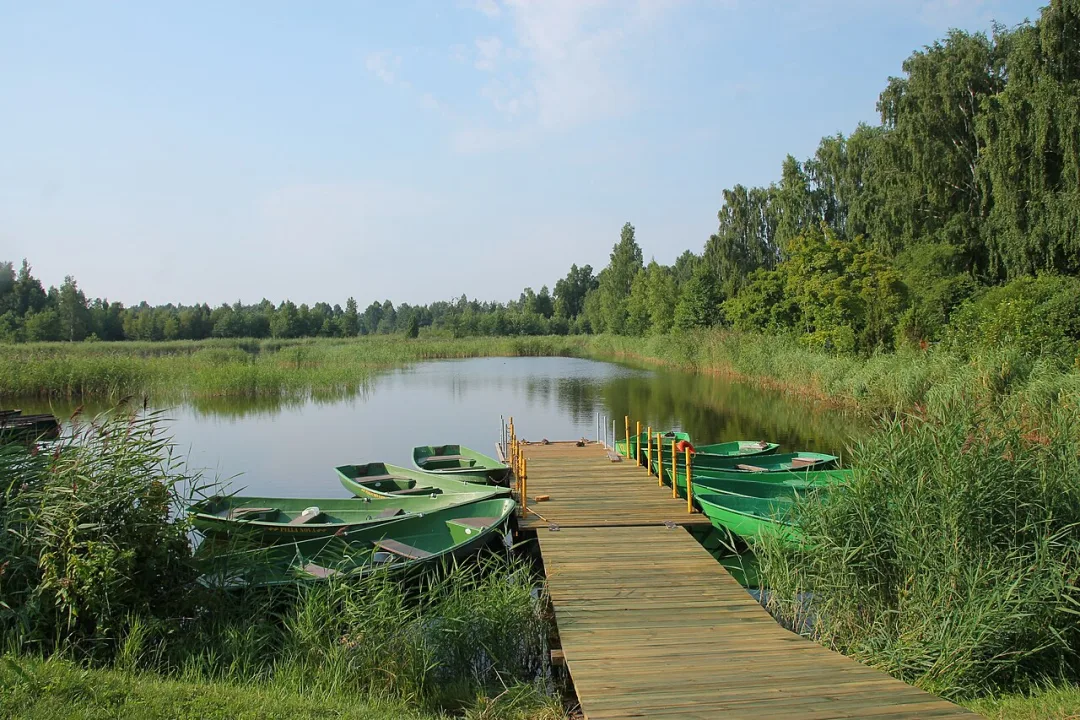 Kaņieris — Draceane / Wikimedia Commons / CC BY-SA 4.0