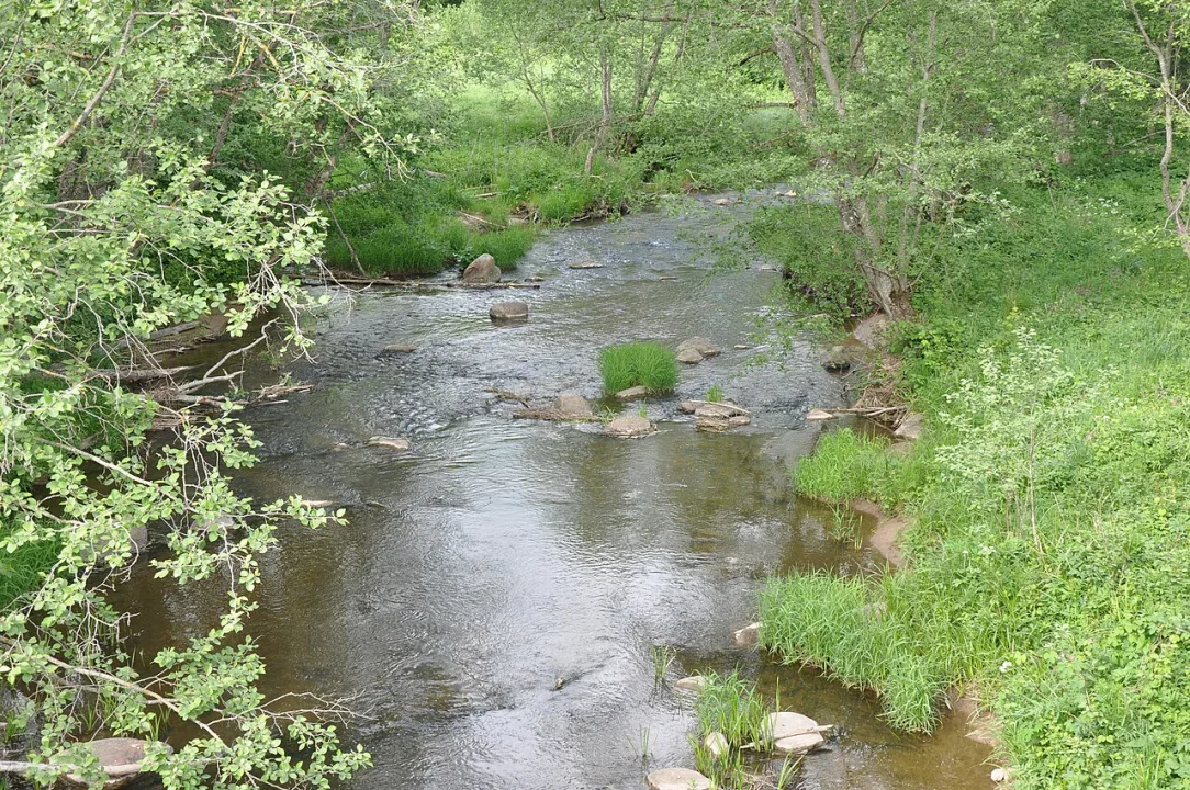 Lētīža — M.Strīķis / Wikimedia Commons / CC BY-SA 3.0