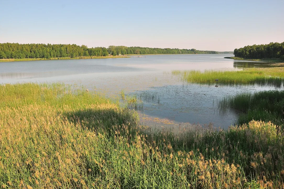 Limbažu Lielezers — Modris Putns / Wikimedia Commons / CC BY-SA 3.0