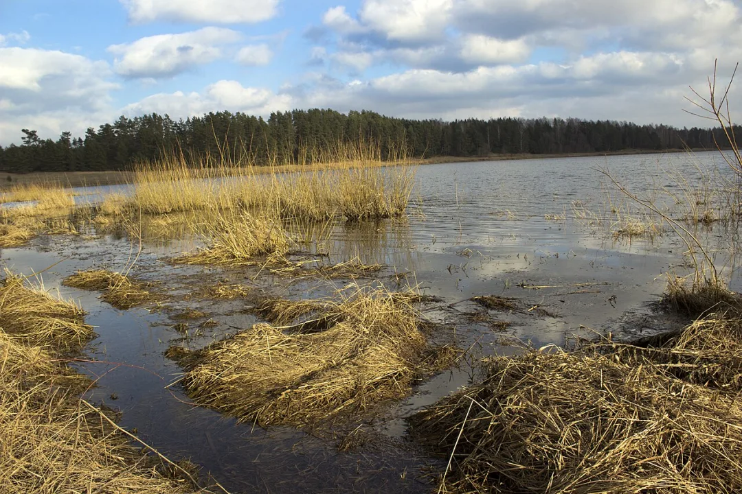 Mazais Nabas ezers — Laima Gūtmane (simka… / Wikimedia Commons / CC BY-SA 3.0