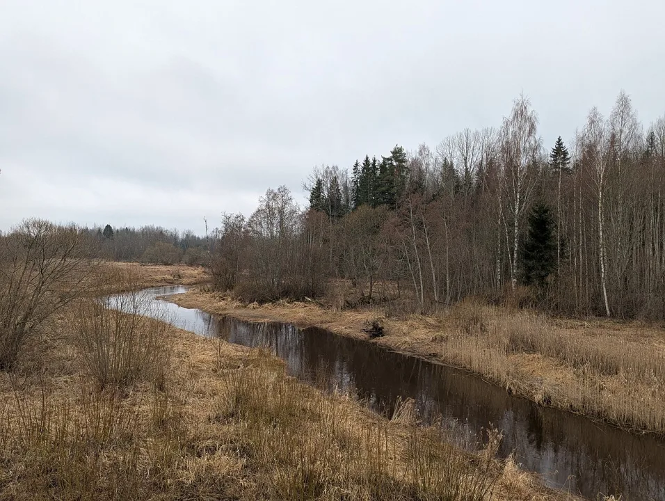 Melnupe — Андрей Романенко / Wikimedia Commons / CC BY-SA 4.0