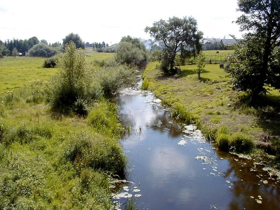Platonis - Platone — Jānis Sedols http://jonins.mii.lu.lv/hia/ia.htm / Wikimedia Commons / CC BY-SA 3.0