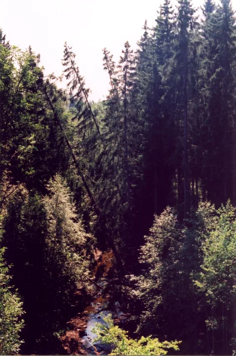 Raunis — ScAvenger / Wikimedia Commons / CC BY-SA 2.5