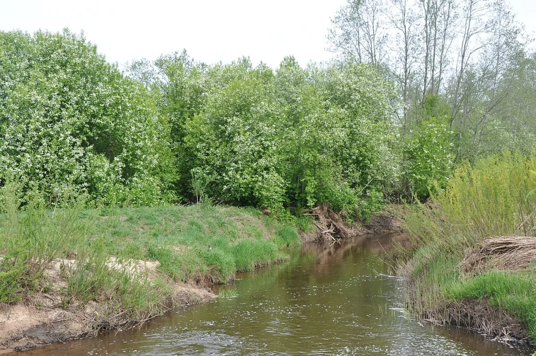 Roja — M.Strīķis / Wikimedia Commons / CC BY-SA 3.0