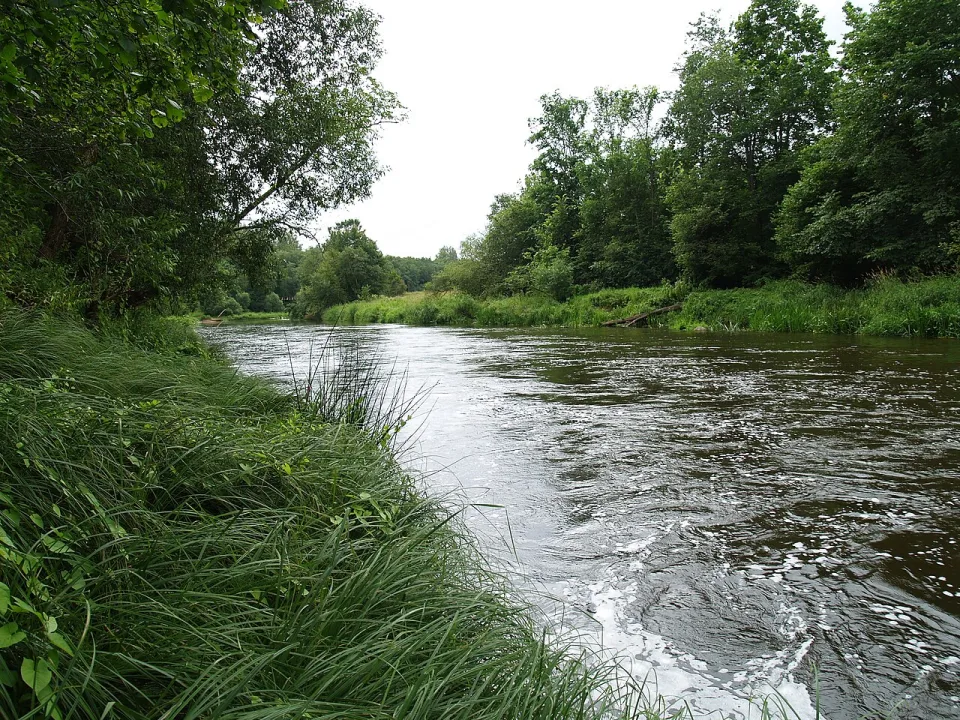 Salaca — Ivo Kruusamägi / Wikimedia Commons / CC BY-SA 3.0