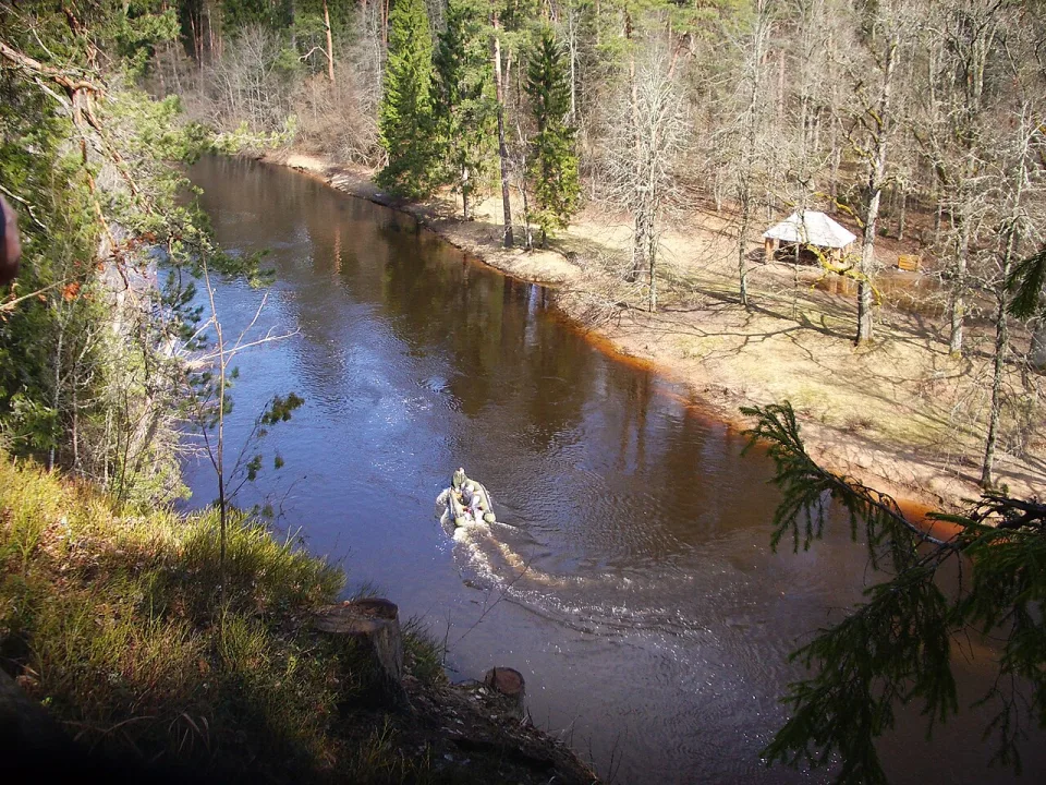 Salaca — Ivars Indāns / Wikimedia Commons / CC BY-SA 3.0