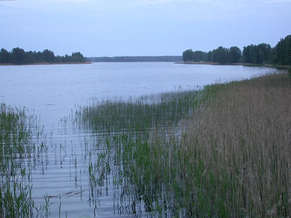 Sasmakas ezers — Jānis U. / Wikimedia Commons / Public domain