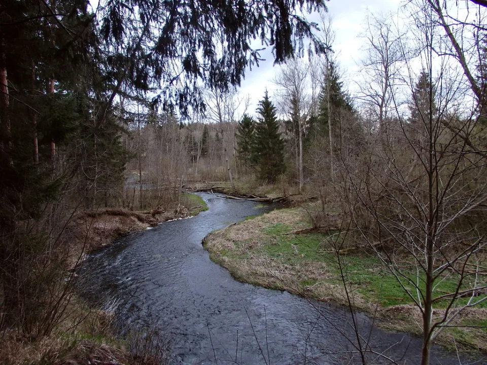 Slocene — GreenZeb / Wikimedia Commons / CC BY 3.0
