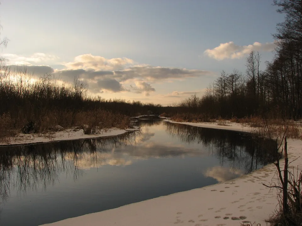 Slocene — Егор Журавлёв from Smarde, Latvia / Wikimedia Commons / CC BY-SA 2.0