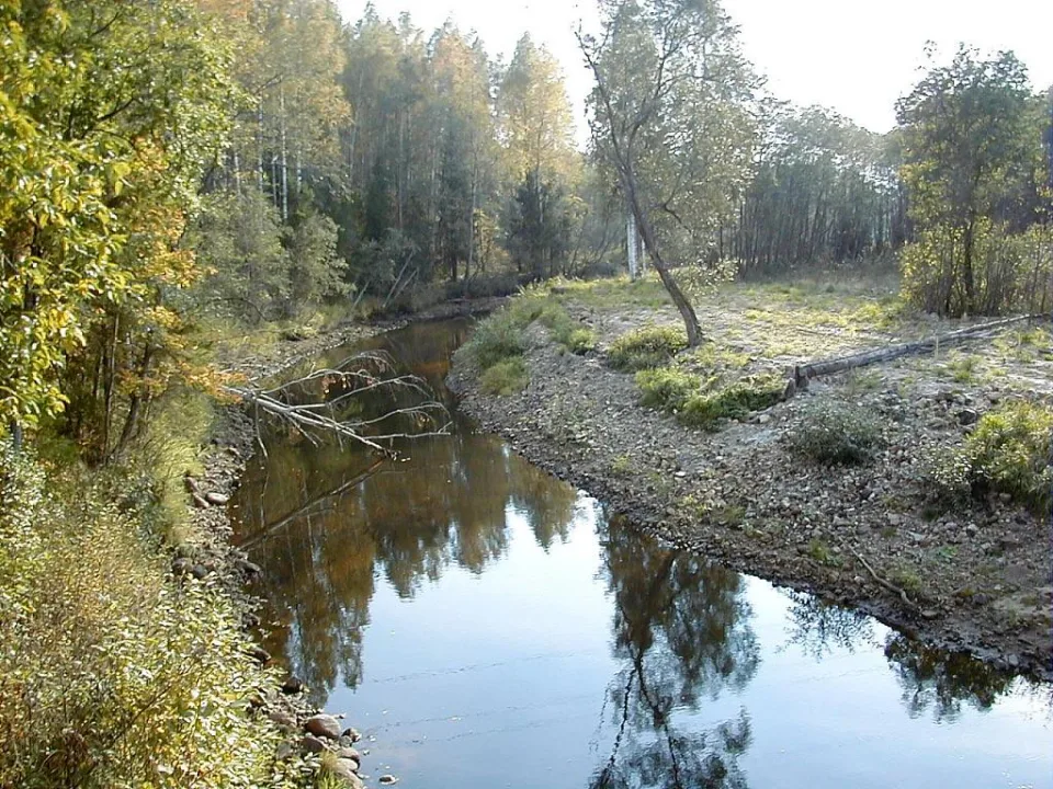Tirza — J. Sedols / Wikimedia Commons / CC BY 3.0