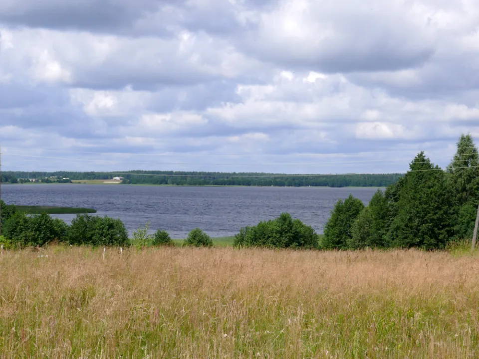 Usmas ezers — The original uploader was Anonīms at Latvian Wikipedia. / Wikimedia Commons / CC BY-SA 2.5