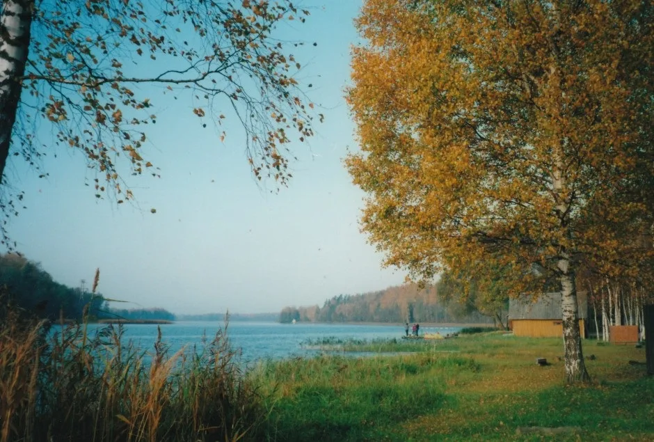 Viesītes ezers — aldonis / Wikimedia Commons / CC BY-SA 3.0