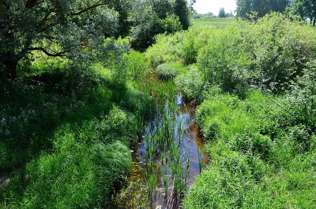 Vilce/Vilkija — Šarūnas Šimkus / Wikimedia Commons / Public domain