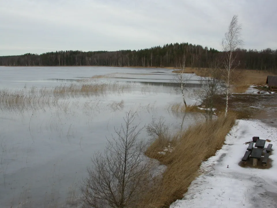 Zebrus ezers — The original uploader was Jānis U. at Latvian Wikipedia. / Wikimedia Commons / CC BY-SA 2.5