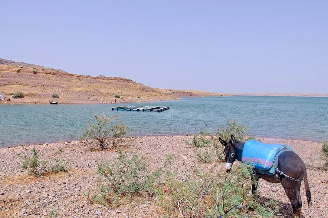 Barrage Al Massira — Bertrand SOUBEYRAND / Wikimedia Commons / CC BY-SA 4.0