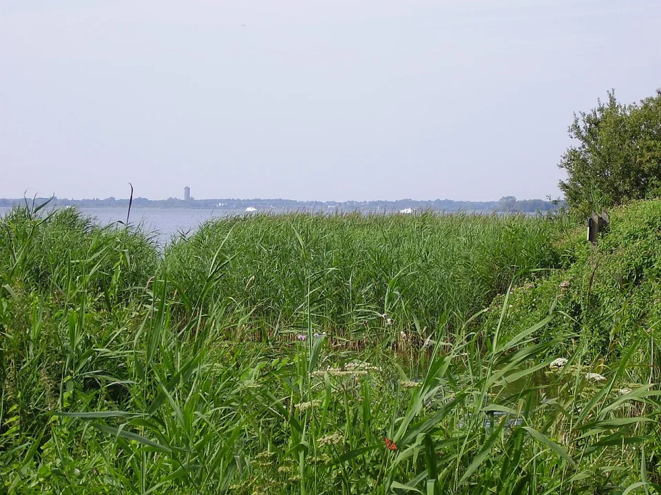 Beulakerwijde — Roepers / Wikimedia Commons / CC BY-SA 3.0