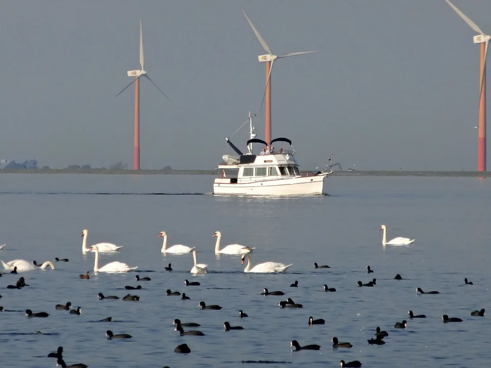 IJmeer — Gouwenaar / Wikimedia Commons / CC0