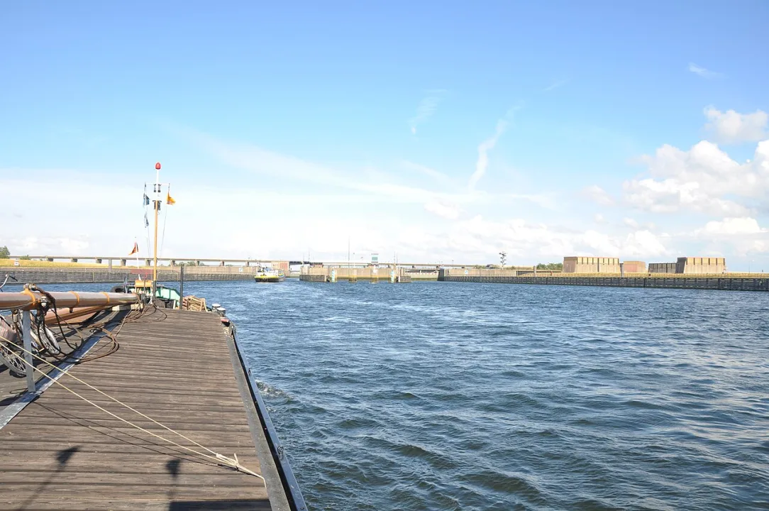 Krammer — S.J. de Waard / Wikimedia Commons / CC BY-SA 3.0
