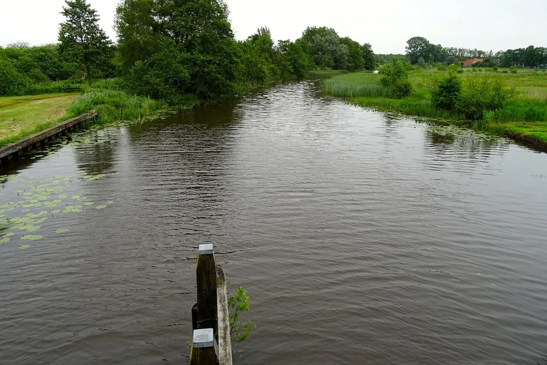 Linde — Gouwenaar / Wikimedia Commons / CC0