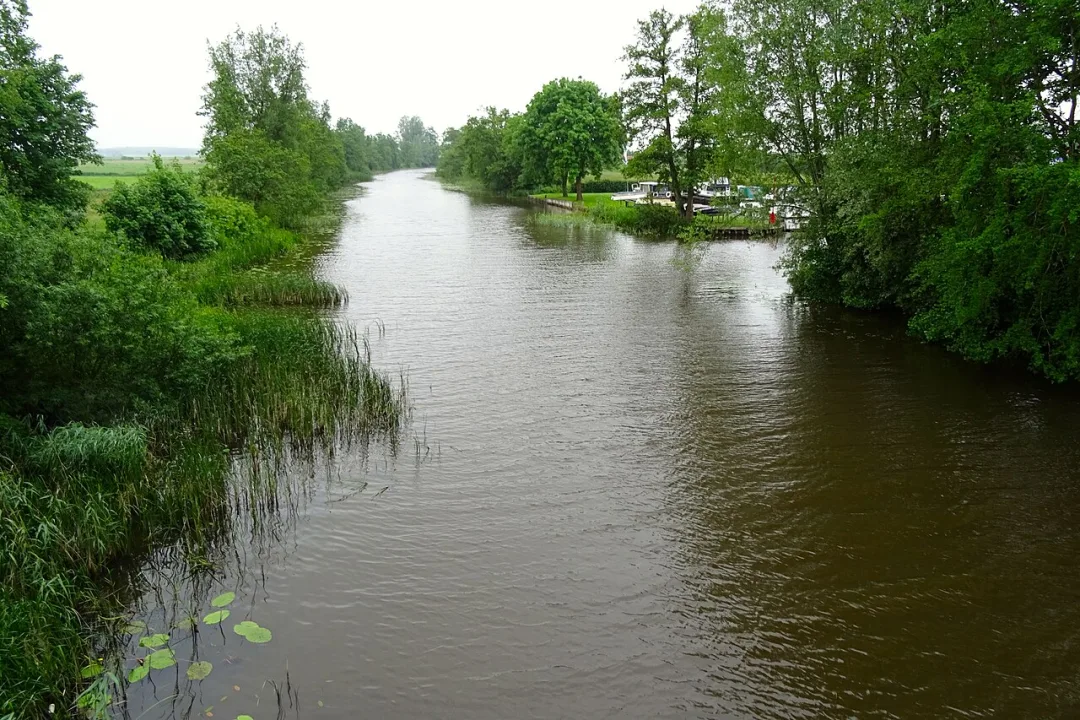 Linde — Gouwenaar / Wikimedia Commons / CC0