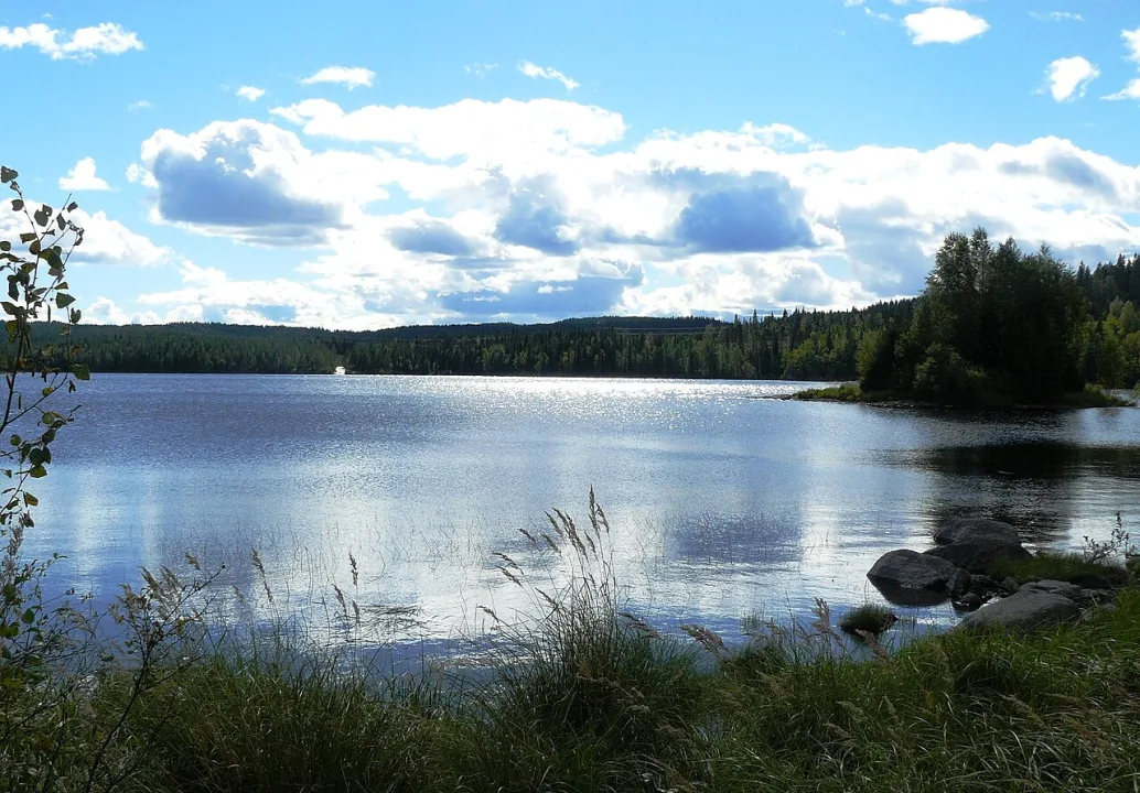 Bjørnsjøen — Chell Hill / Wikimedia Commons / CC BY-SA 3.0