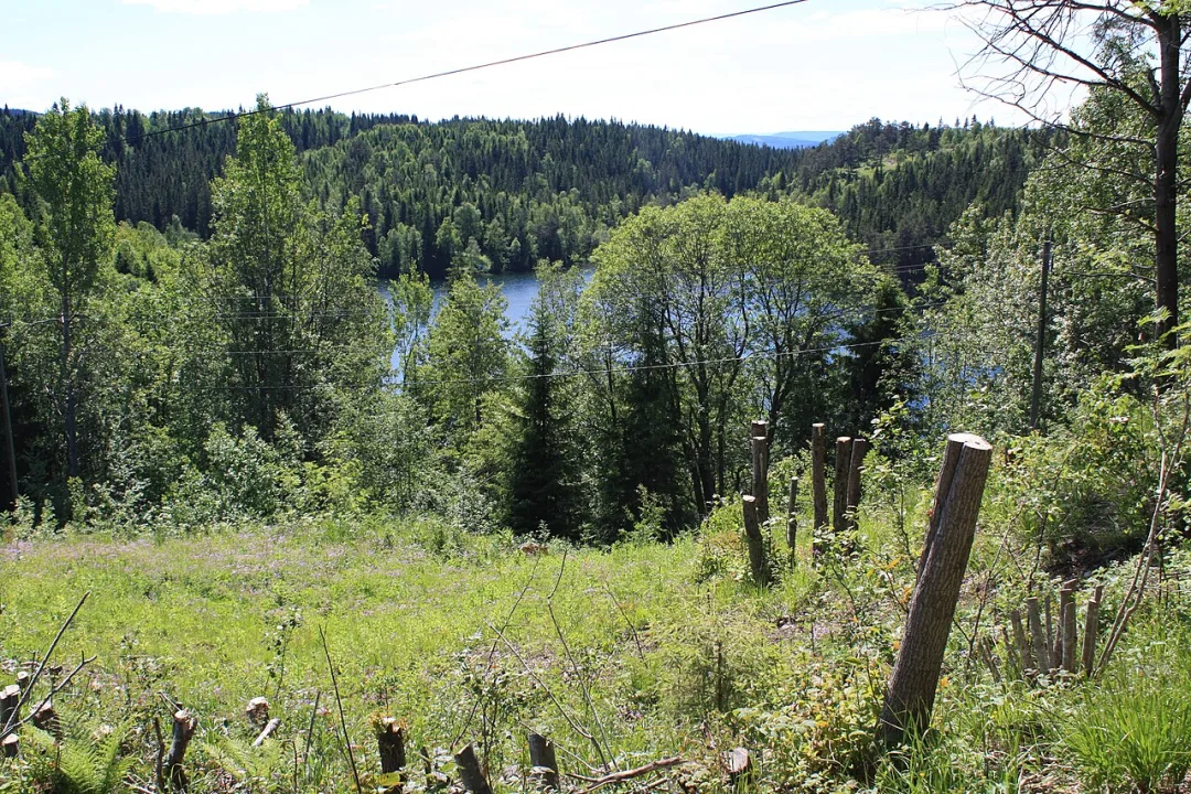 Blankvann — Rart / Wikimedia Commons / CC BY-SA 3.0