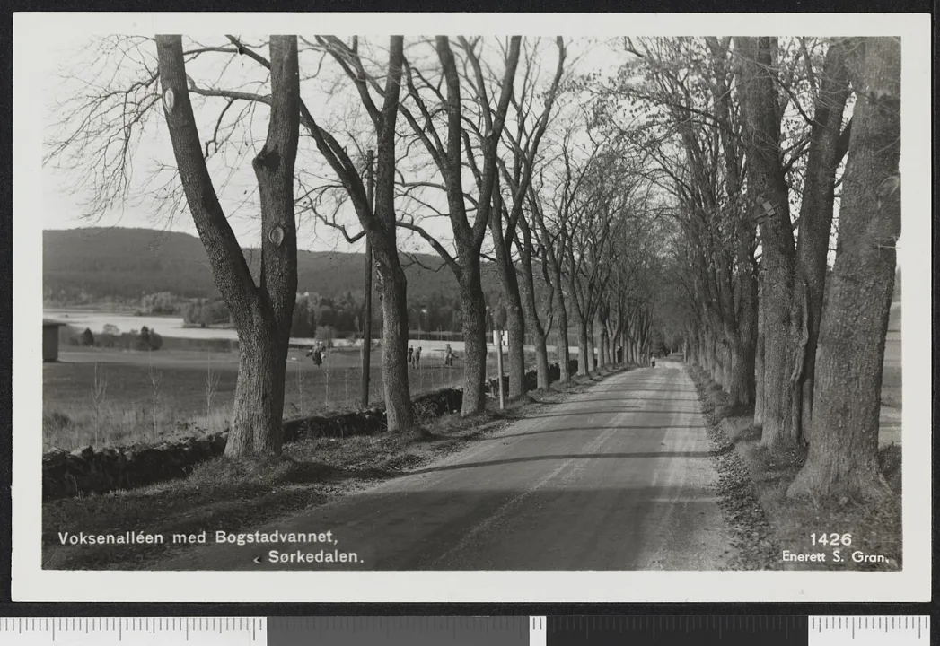 Bogstadvannet — Unknown authorUnknown author / Wikimedia Commons / Public domain