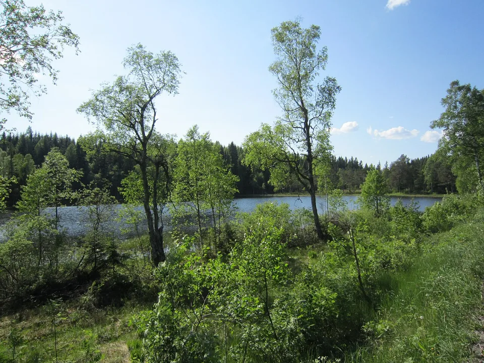 Lille Tryvannet — Jan-Tore Egge / Wikimedia Commons / CC BY-SA 3.0