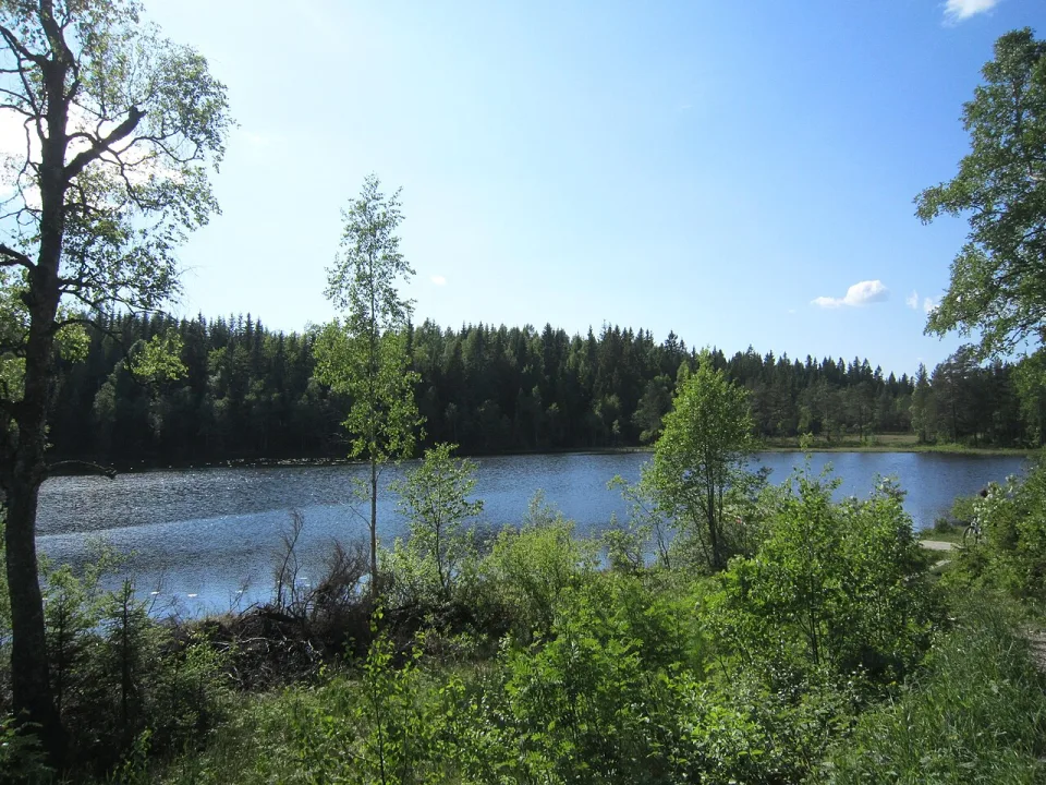 Lille Tryvannet — Jan-Tore Egge / Wikimedia Commons / CC BY-SA 3.0