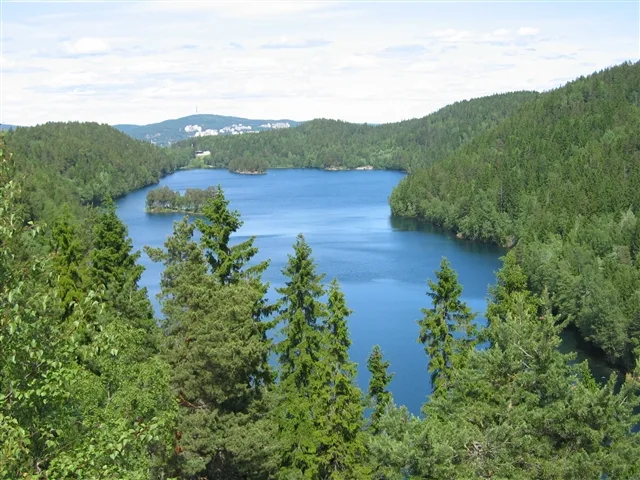Lutvann — User Karamell on no.wikipedia / Wikimedia Commons / Public domain