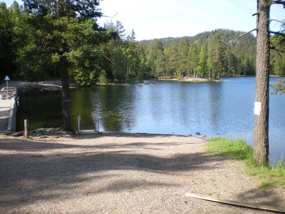 Strømsdammen — Keanu4 / Wikimedia Commons / CC BY-SA 3.0